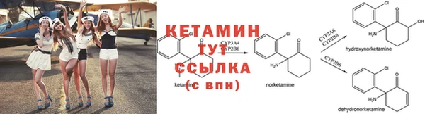 мяу мяу мука Белокуриха