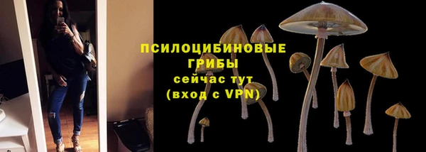 кокаин Богородицк