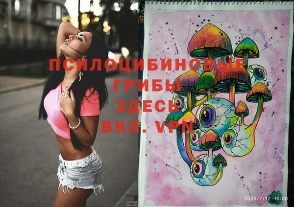 мяу мяу мука Белокуриха