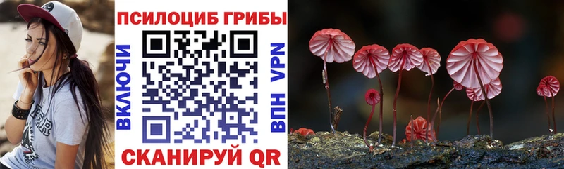 Галлюциногенные грибы прущие грибы  сайты даркнета состав  Ростов-на-Дону 